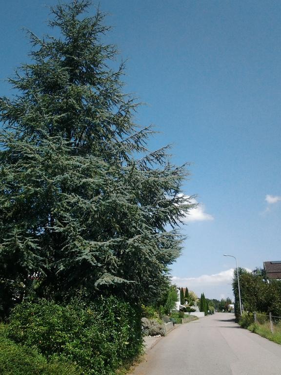 B&B Hersberg Zewnętrze zdjęcie