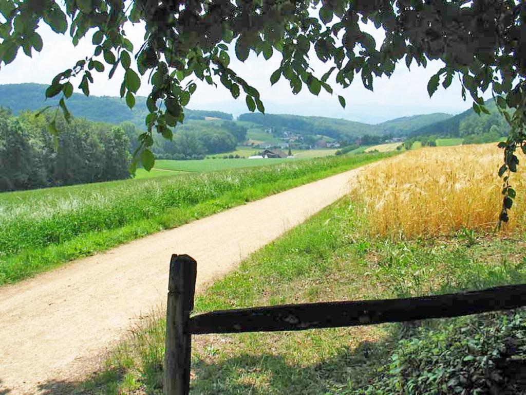 B&B Hersberg Zewnętrze zdjęcie